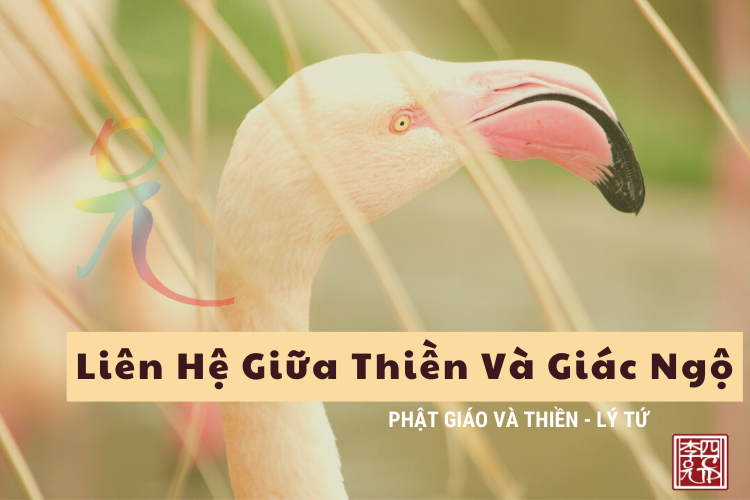 Phật Giáo Và Thiền 
