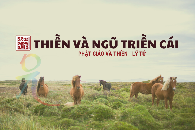 Phật Giáo Và Thiền 