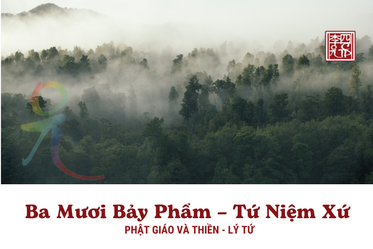 Phật Giáo Và Thiền