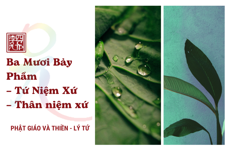 Phật Giáo Và Thiền 