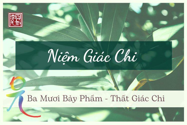 Phật Giáo Và Thiền 
