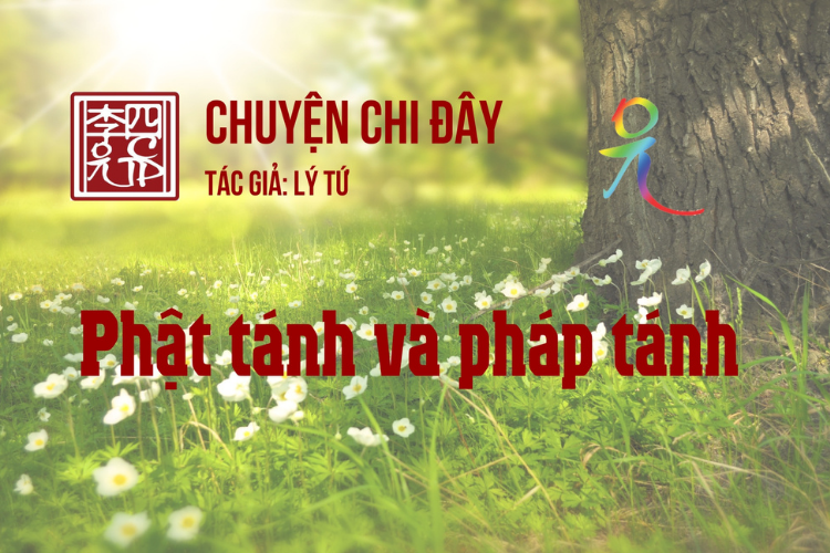 Chuyện Chi Đây
