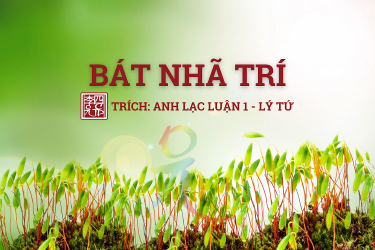 Anh Lạc Luận Tập 1 - Tác Giả Lý Tứ