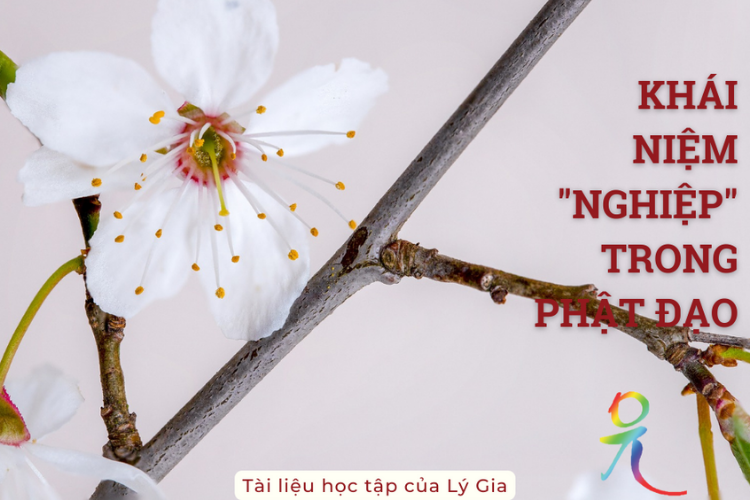 Giáo Pháp Nhập Môn