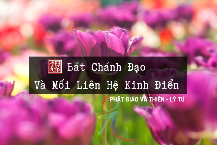 Phật Giáo Và Thiền 