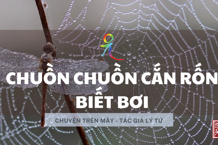 Chuyện Trên Mây