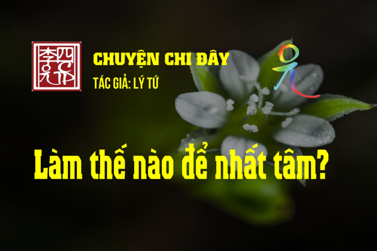 Chuyện Chi Đây