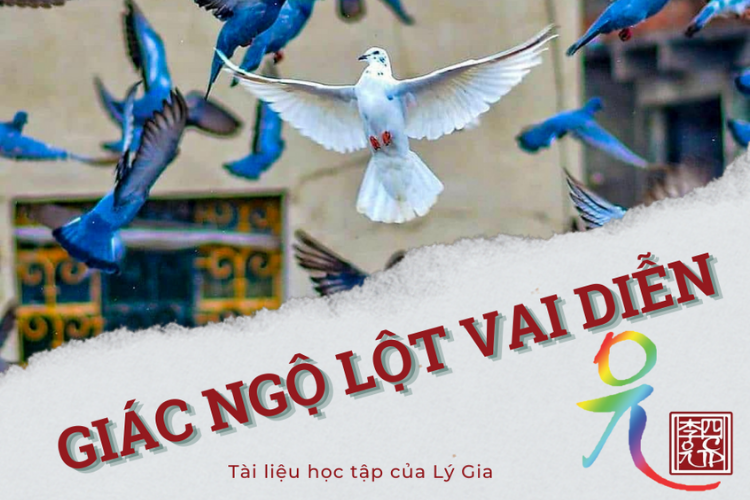 Giáo Pháp Nhập Môn