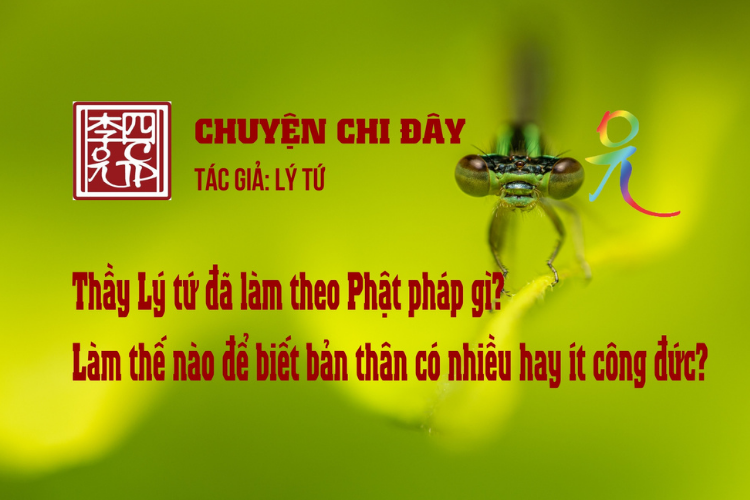 Chuyện Chi Đây