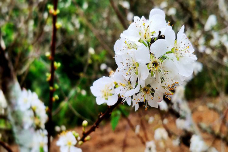 Tổng hợp bài tản mạn