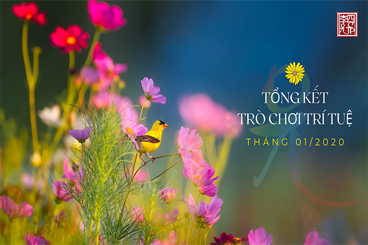 Trò Chơi Trí Tuệ