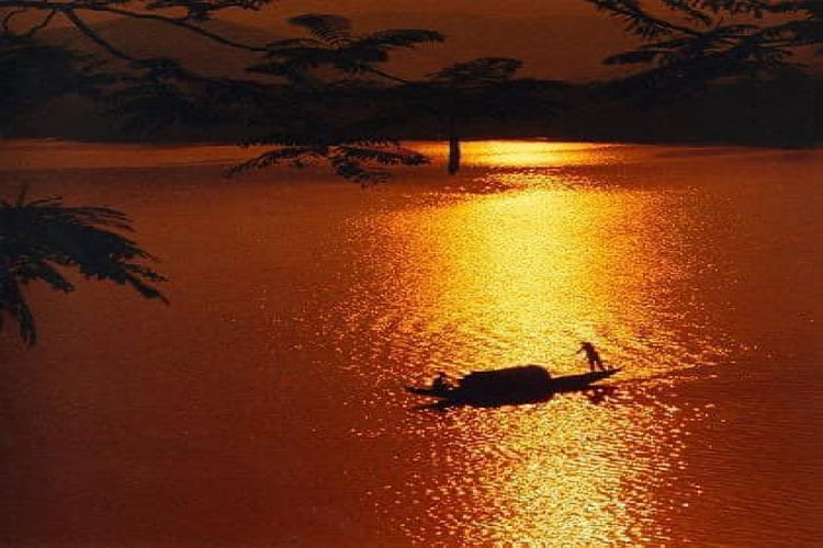 Tổng hợp bài tản mạn