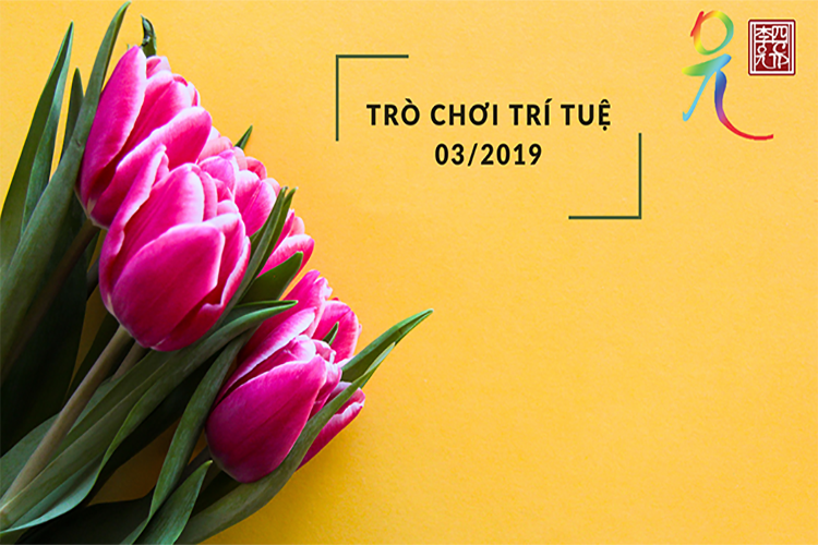 Trò Chơi Trí Tuệ