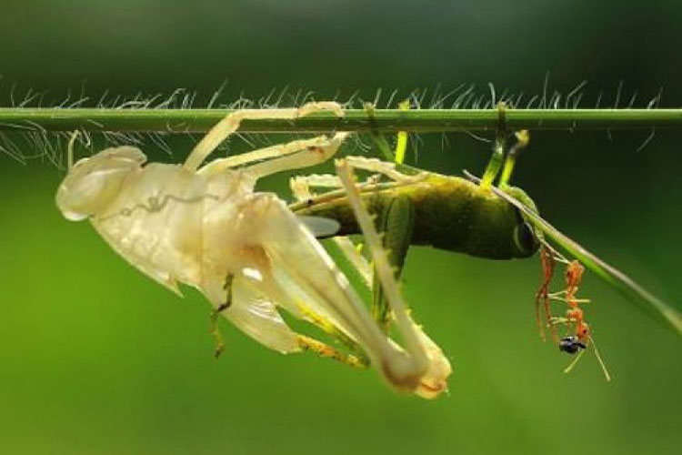 Tổng hợp bài tản mạn