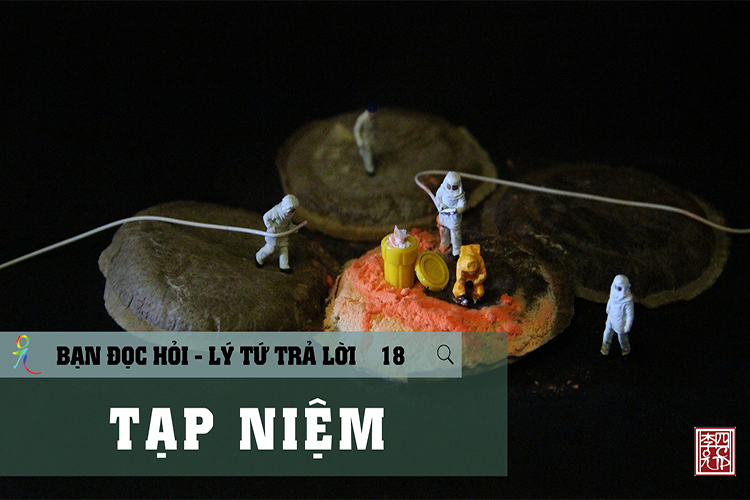 Lý Tứ Hỏi Đáp