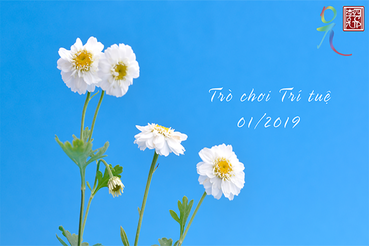 Trò Chơi Trí Tuệ