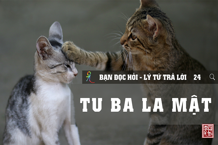 Lý Tứ Hỏi Đáp