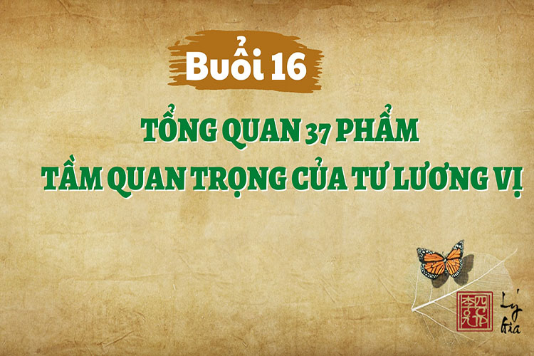 Hạnh Phúc Quanh Ta