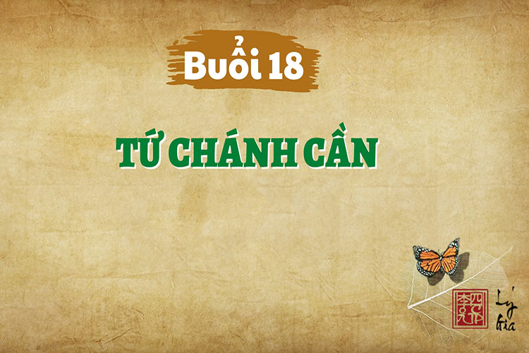 Hạnh Phúc Quanh Ta