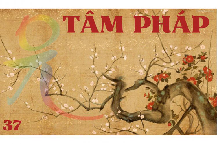 Tâm Pháp