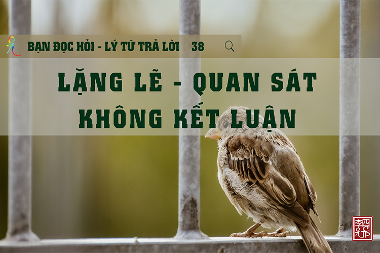 Lý Tứ Hỏi Đáp
