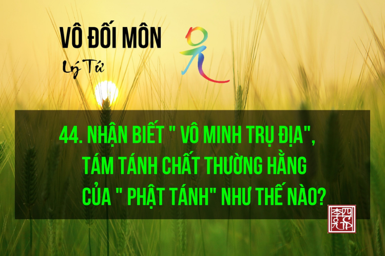 Vô Đối Môn MP3
