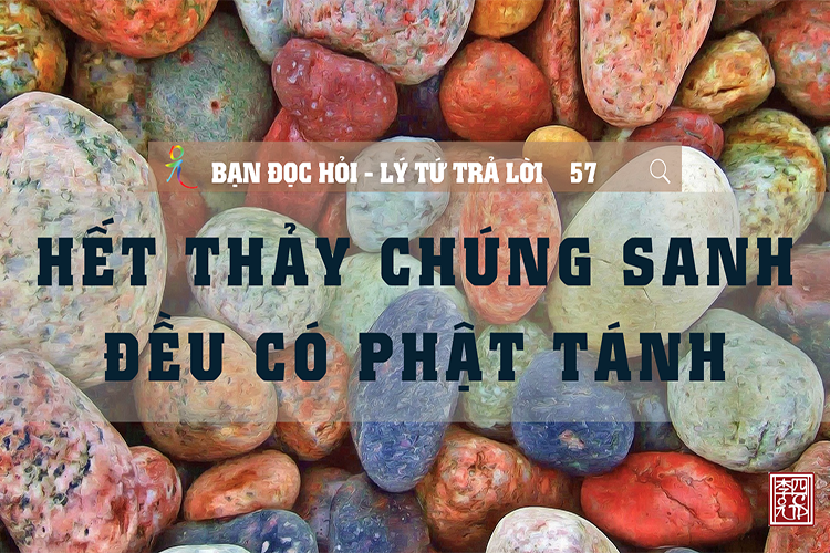 Lý Tứ Hỏi Đáp