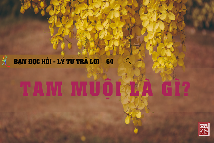 Lý Tứ Hỏi Đáp