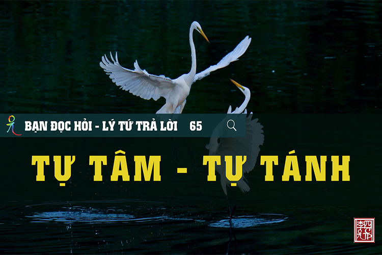 Lý Tứ Hỏi Đáp