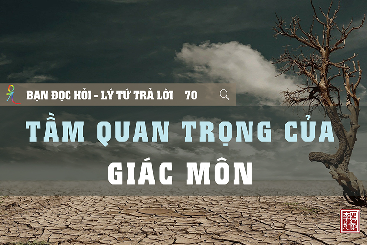 Lý Tứ Hỏi Đáp