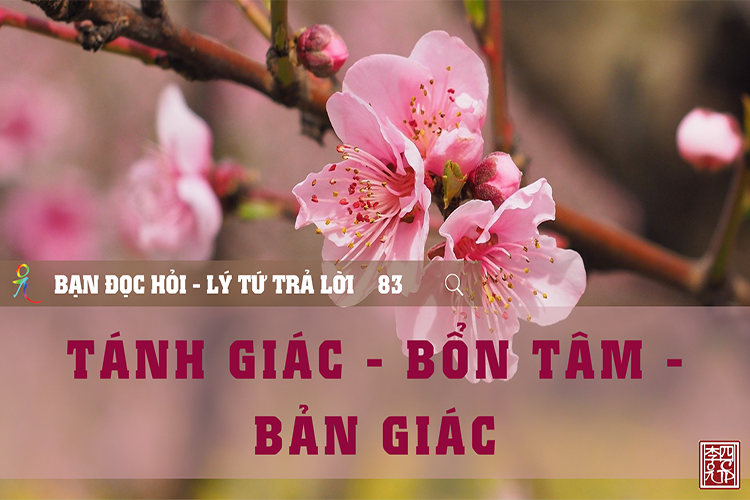 Lý Tứ Hỏi Đáp