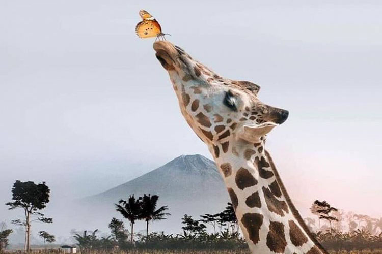 Cảm nhận bạn đọc