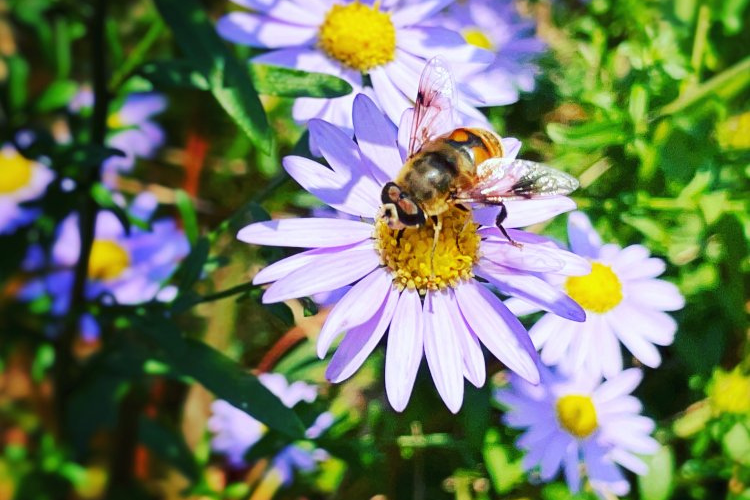 Bài Thu Hoạch Của Huynh Đệ