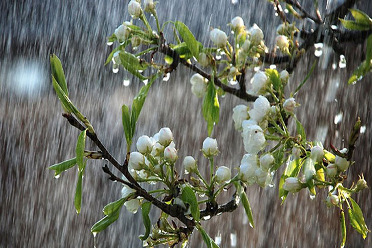 Tổng hợp bài tản mạn