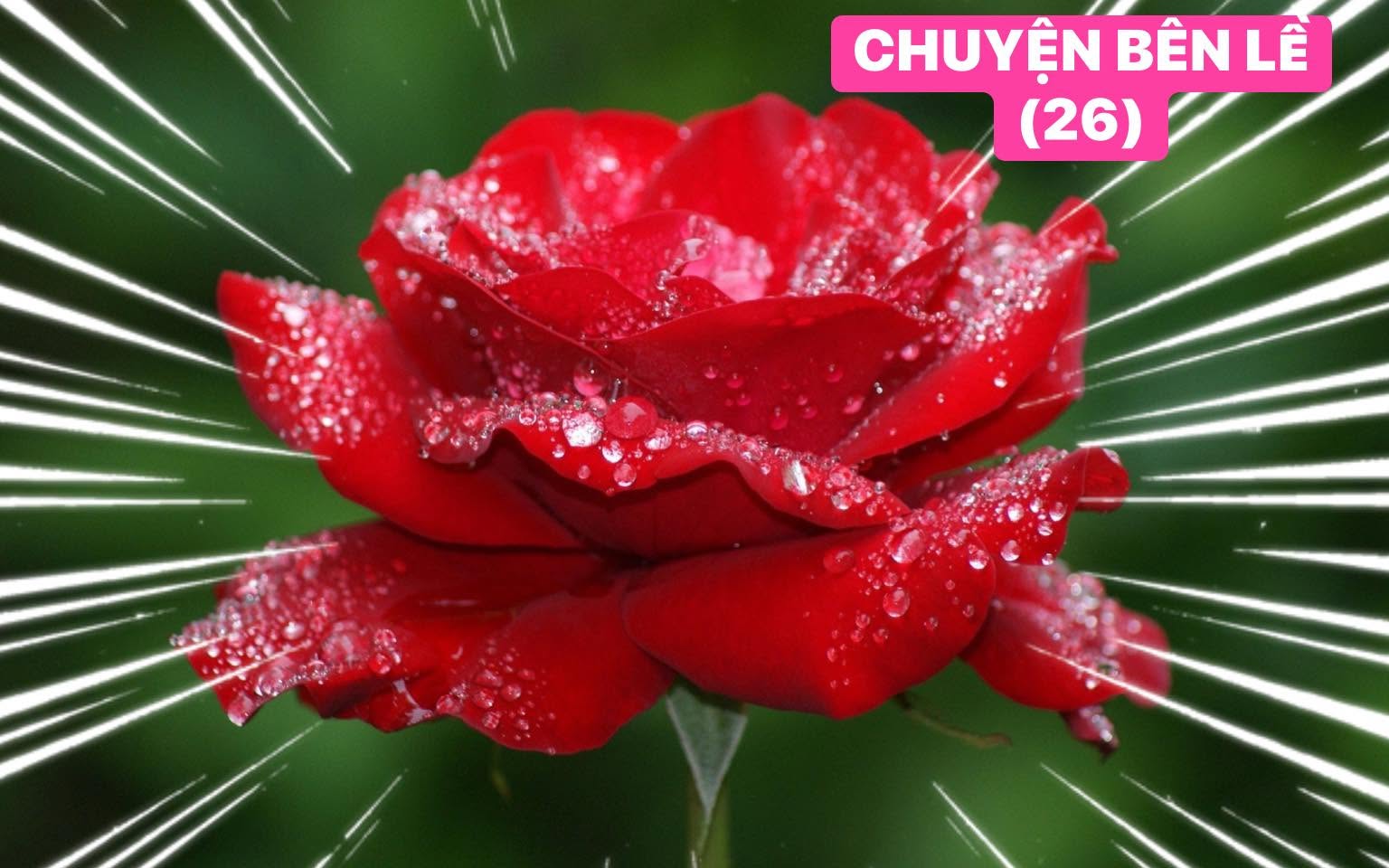(39) CHUYỆN BÊN LỀ
