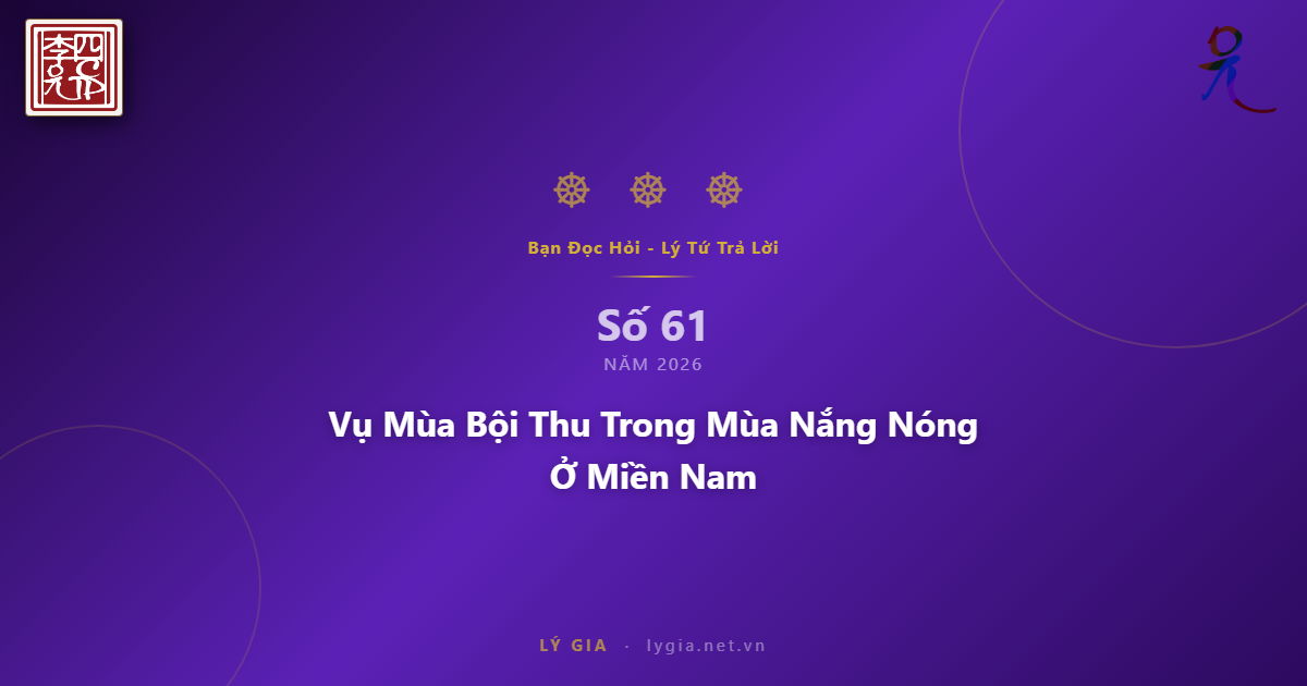 BĐH-LTTL Số 61 - 2026