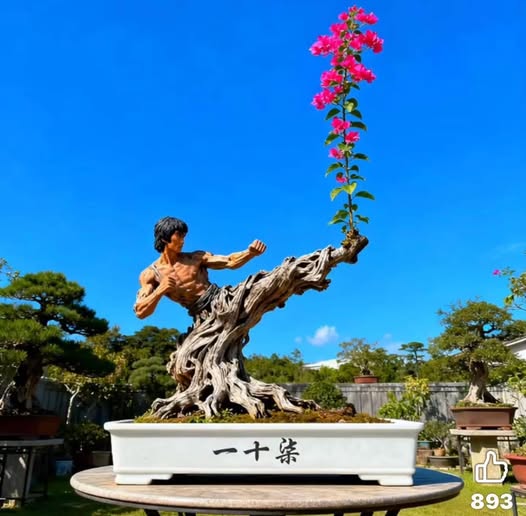 Chuyên mục Bạn đọc hỏi - Lý Tứ trả lời Số 15.2026 với chủ đề: Phải Khen Thôi Các Bạn Ạ !!!