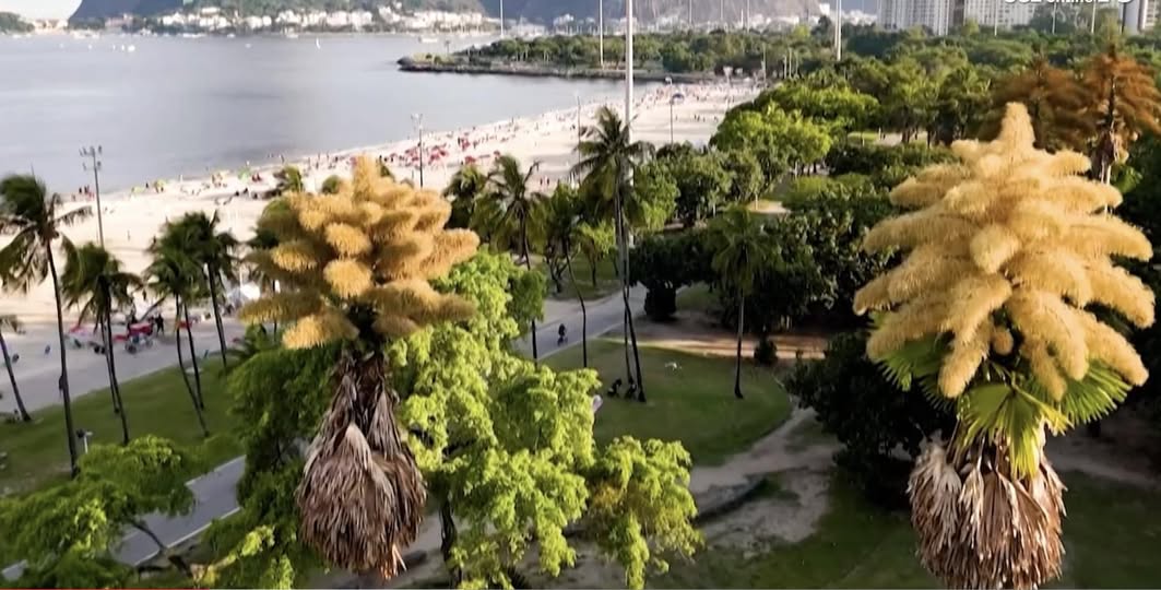 Chuyên mục Bạn đọc hỏi - Lý Tứ trả lời Số 13.2026 với chủ đề: Một Số Thắc Mắc Về Kinh Duy Ma Cật !!!