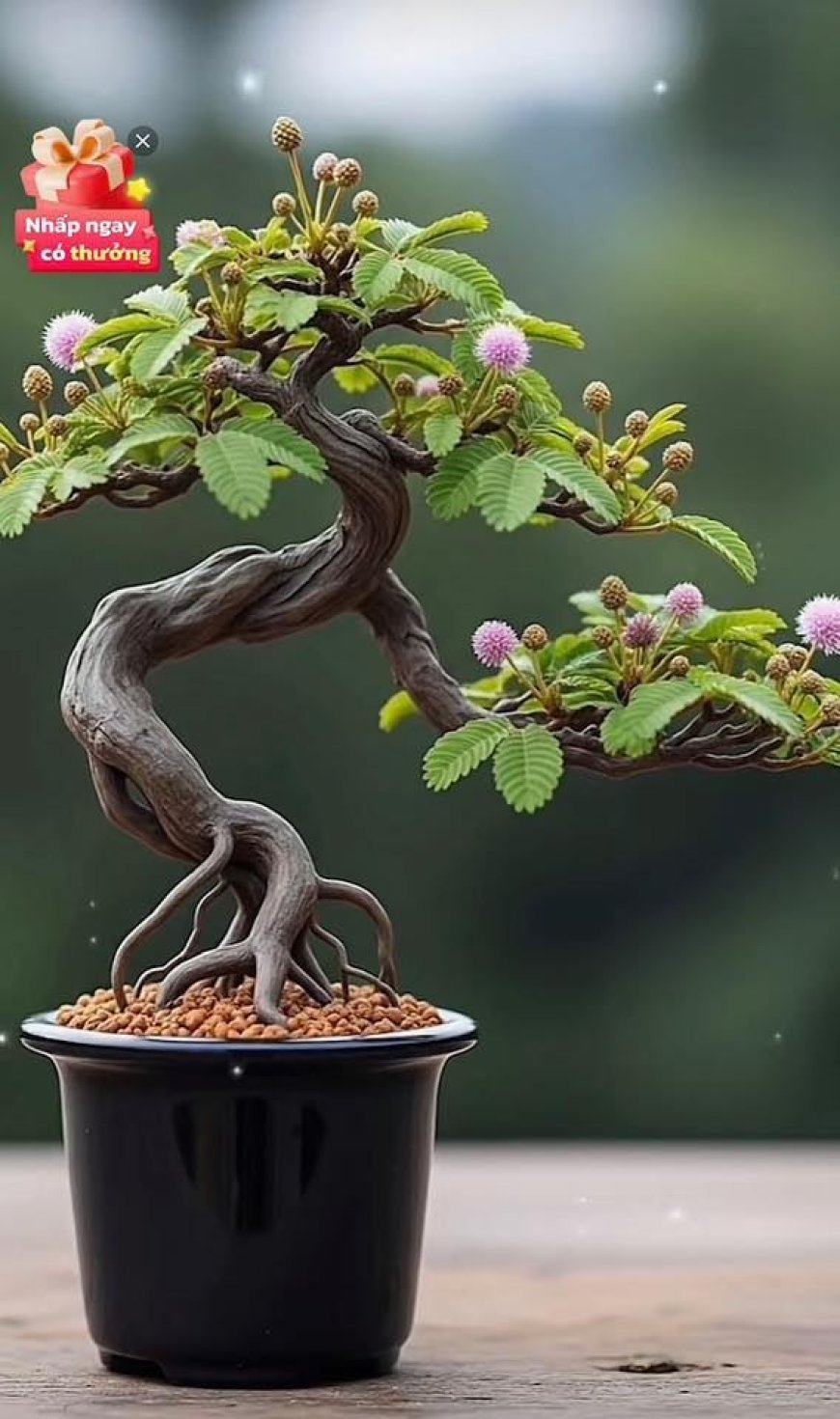 Chuyên mục Bạn đọc hỏi - Lý Tứ trả lời Số 26.2025 với chủ đề: Trả Lời Thắc Mắc Của Bạn Đọc Trí Đức - Bắc Ninh !!!