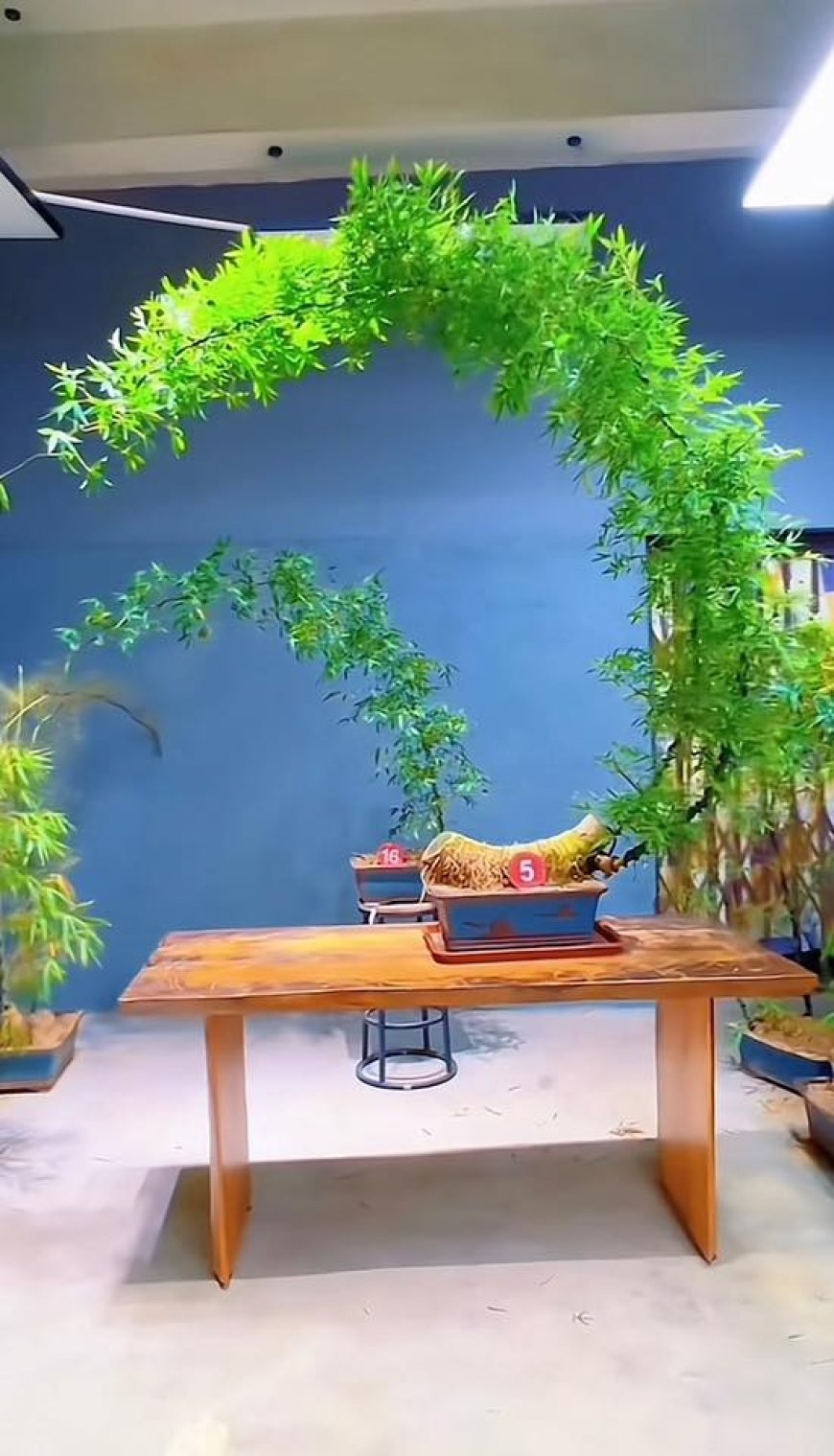 Chuyên mục Bạn đọc hỏi - Lý Tứ trả lời Số 29.2025 với chủ đề: Sóng Ấy Tức Nước !!!
