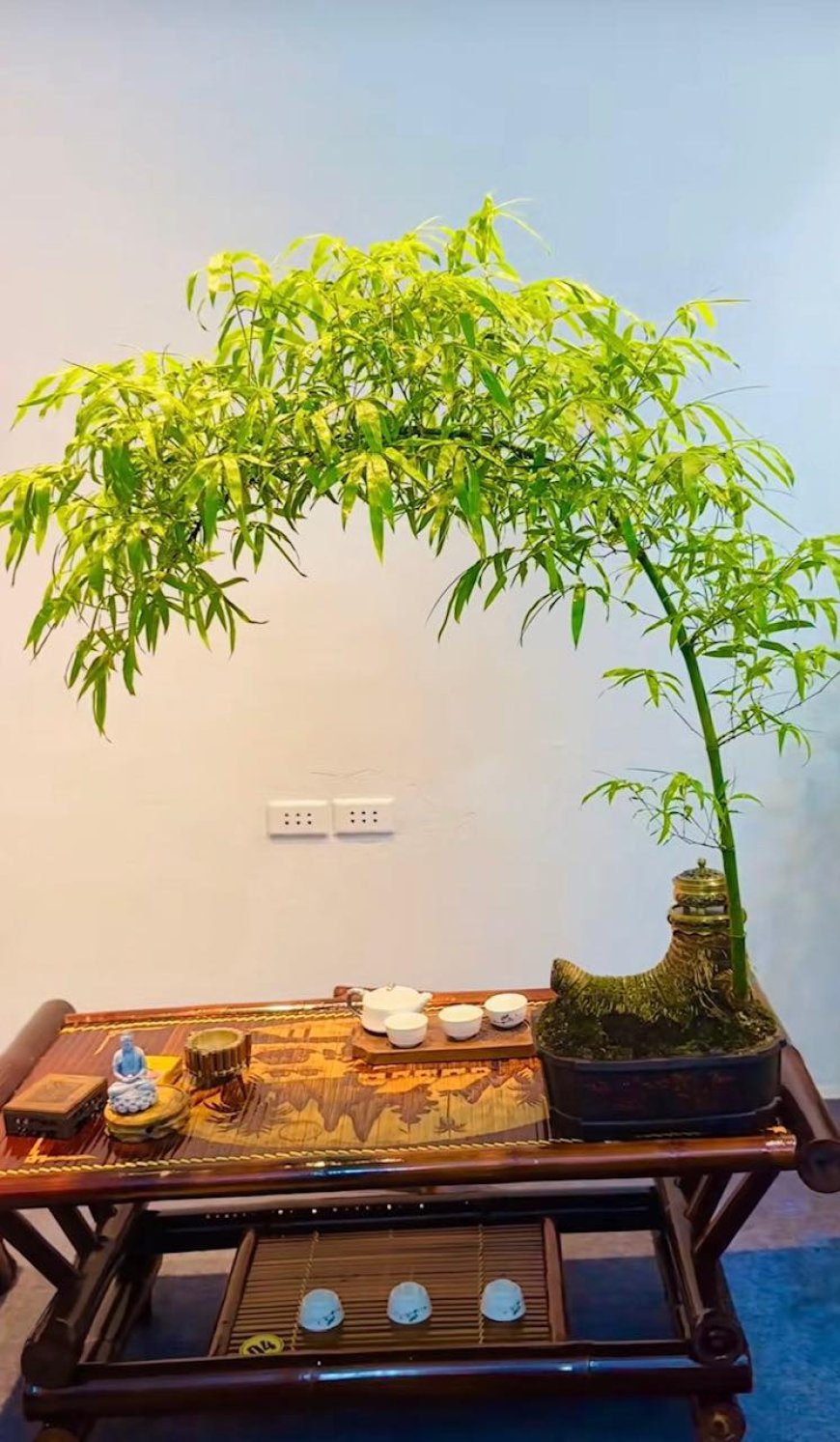 Chuyên mục Bạn đọc hỏi - Lý Tứ trả lời Số 34.2025 với chủ đề: Lại Nói Về Nhân Quả !!!