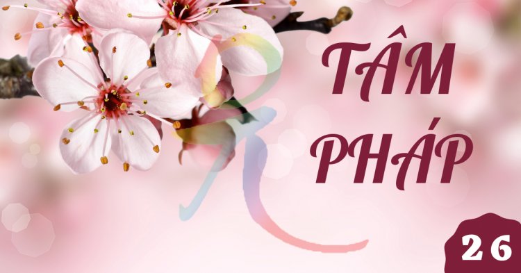 TP.26. Đại Kinh THÍ DỤ LÕI CÂY