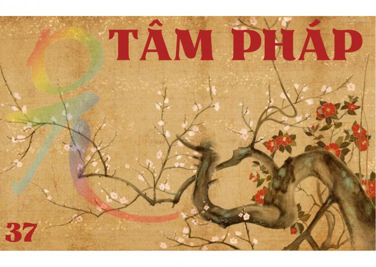 TP.37. Báo Thân Phật, Hóa Thân Phật và Pháp Thân Phật